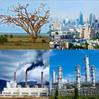 Модель-аппликация Биосфера и человек - fgospostavki.ru - Южно-Сахалинск