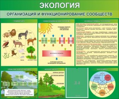 Стенд "Экология. Организация и функционирование сообществ" - fgospostavki.ru - Южно-Сахалинск