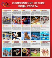 Стенд "Олимпийские летние виды спорта" - fgospostavki.ru - Южно-Сахалинск
