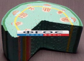 Модель "Стебель растения" - fgospostavki.ru - Южно-Сахалинск
