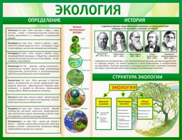 Стенд "Экология" - fgospostavki.ru - Южно-Сахалинск