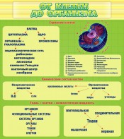 Стенд "От клетки до организма" - fgospostavki.ru - Южно-Сахалинск