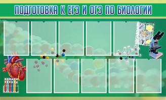 Стенд "Подготовка к ЕГЭ и ОГЭ по биологии" Вариант 2 - fgospostavki.ru - Южно-Сахалинск