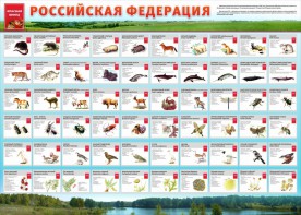 Стенд "Красная книга РФ" - fgospostavki.ru - Южно-Сахалинск