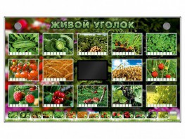 Комплект оборудования "Живой уголок" (растения) - fgospostavki.ru - Южно-Сахалинск