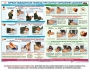 Комплект плакатов "Оказание первой доврачебной медицинской помощи" - fgospostavki.ru - Южно-Сахалинск