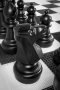 Напольные фигуры шахматные гигантские 61 - fgospostavki.ru - Южно-Сахалинск